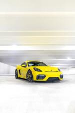 Porsche 718 Cayman GT4 2019 года (NA)